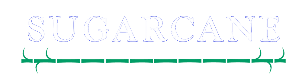 sugarcane