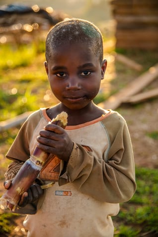 5-year-old boy intercepted in Zambia