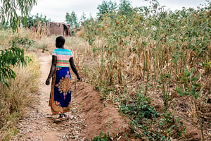 malawi_africa_female_field