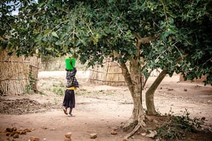 malawi_young_girl_walking_water_bucket