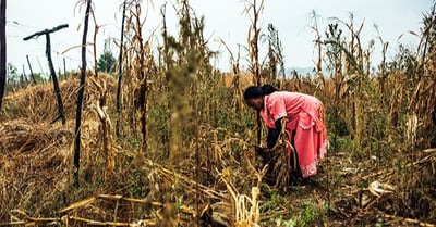 girl_africa_working_field_labor