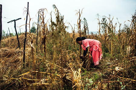 girl_africa_working_field_labor