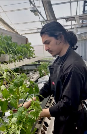 Ashok working in the Swedish farmhouse.