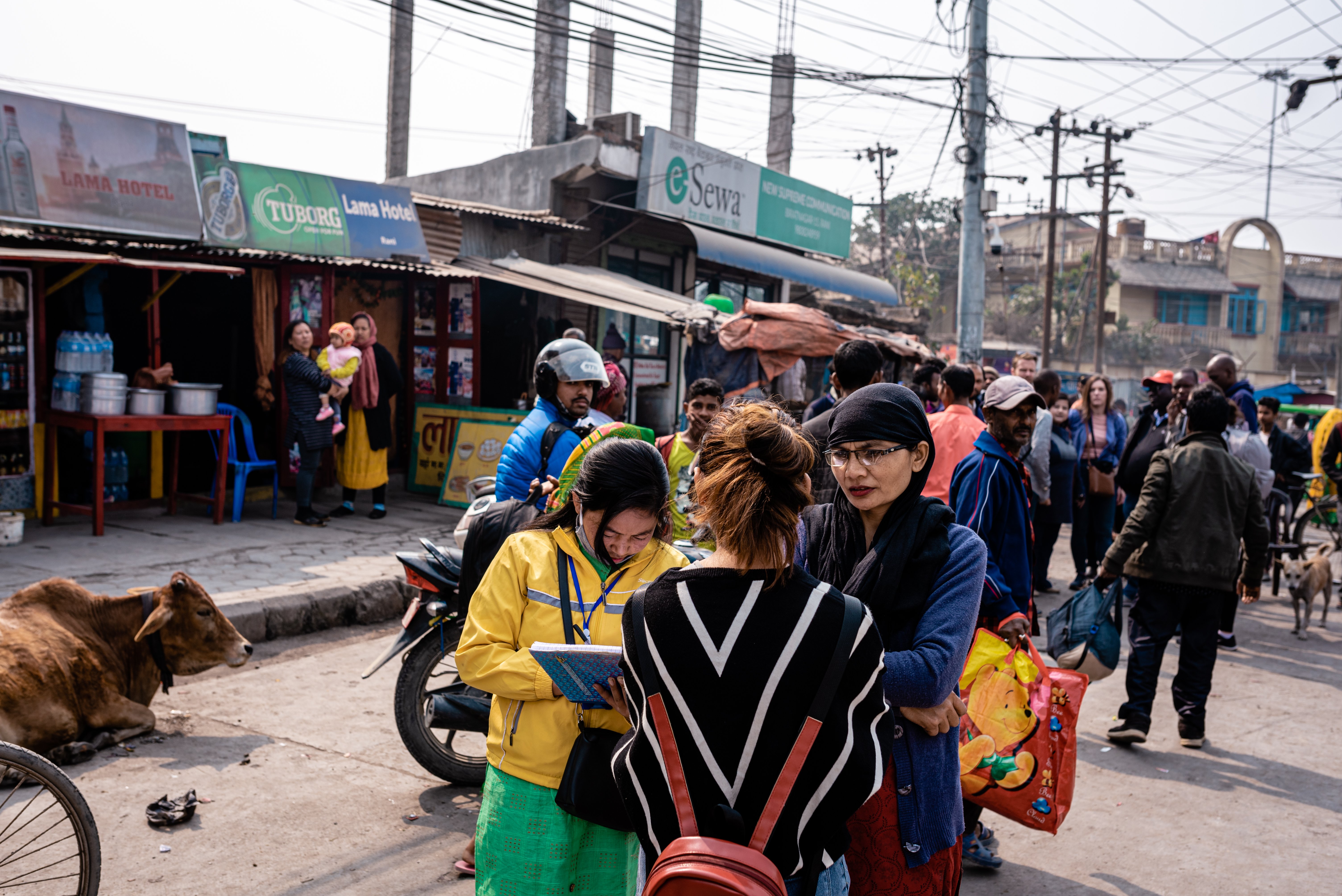 Copy of fam1-264