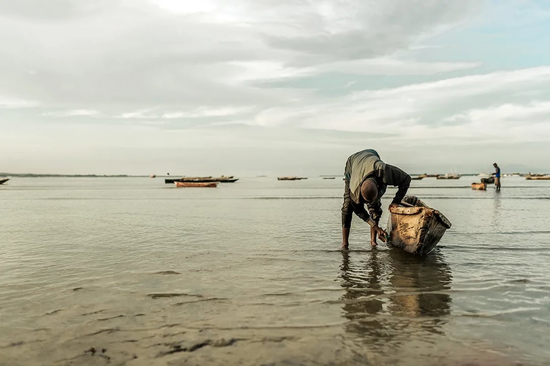 Global Estimates Reveal Modern Slavery Is on the Rise