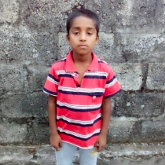 bagira