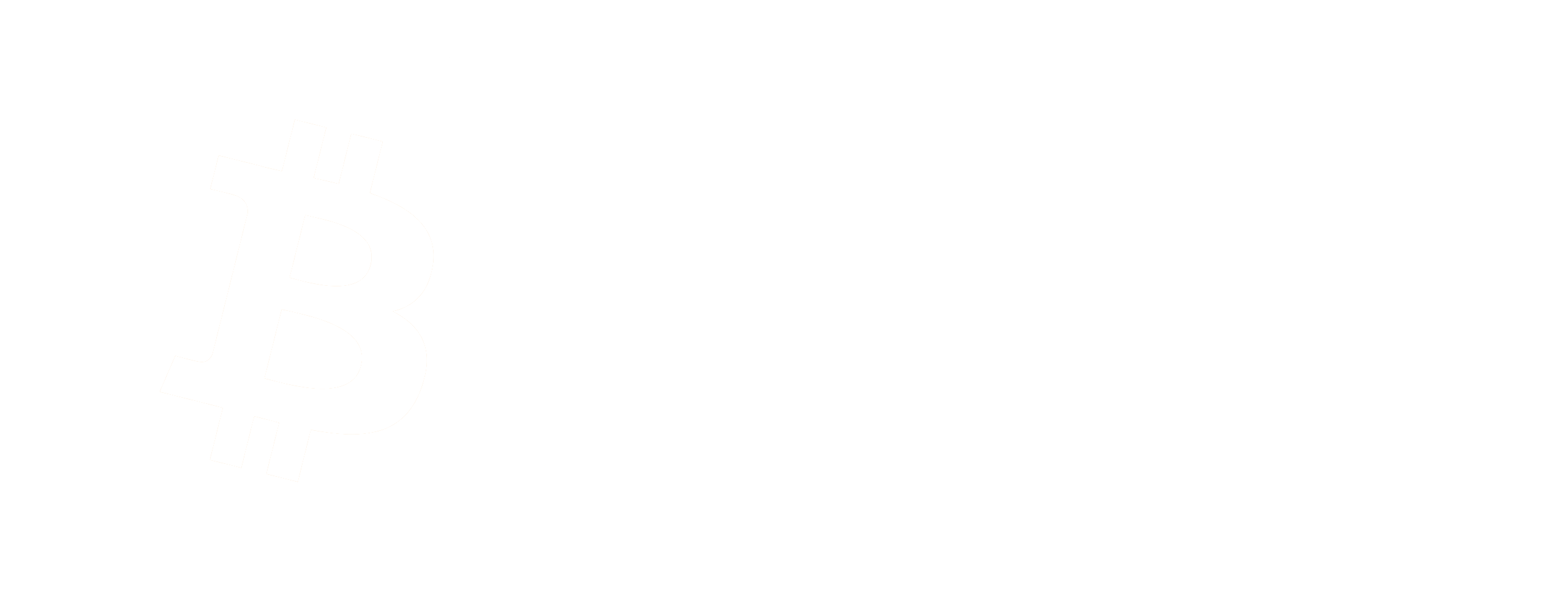 bitcoin racing logo_WHITE
