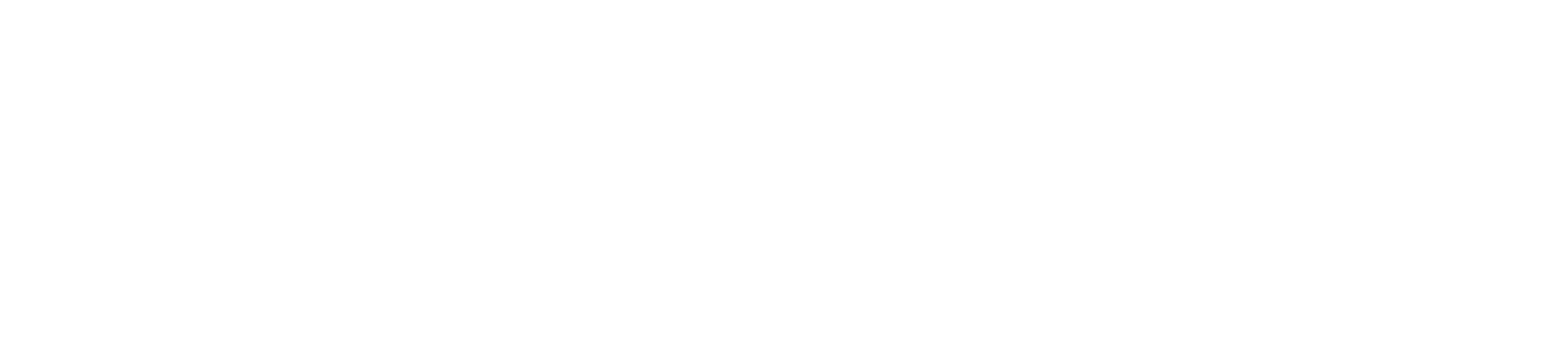 endaoment-wordmark-light@3x