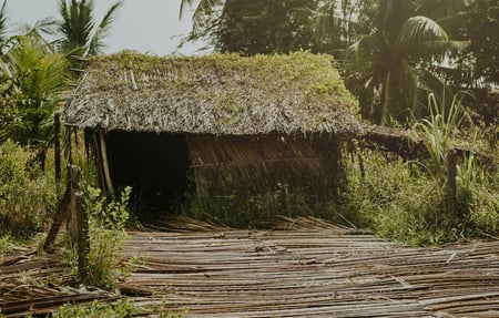 field-hut-asia-pexels-2