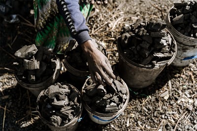 hand picking up pieces of coal in buckets
