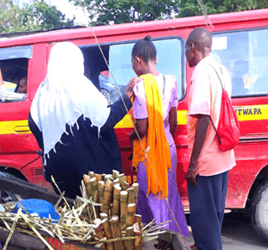 kenya_transit_monitoring