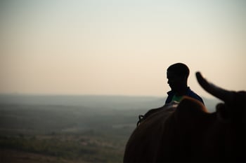 silhouette of boy