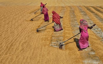 women-working-2
