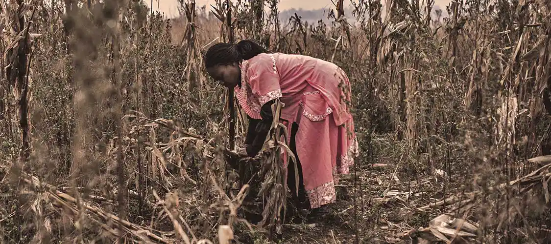 woman_field_labor_africa