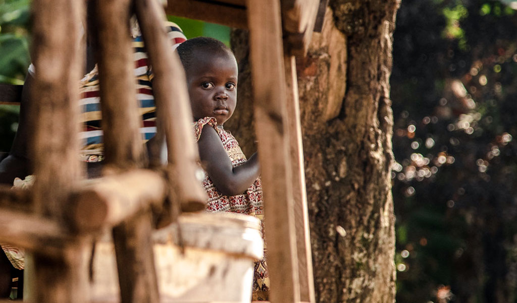 A child looks through a gap in a wood structure