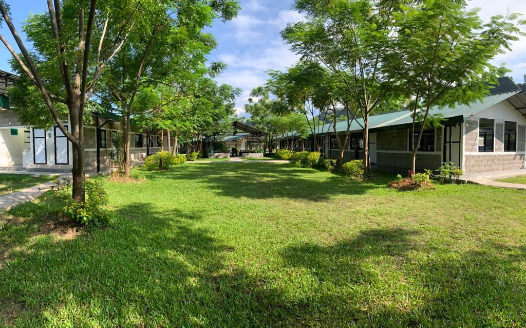 Led by His Hand: A Chain of Long-Term Impact